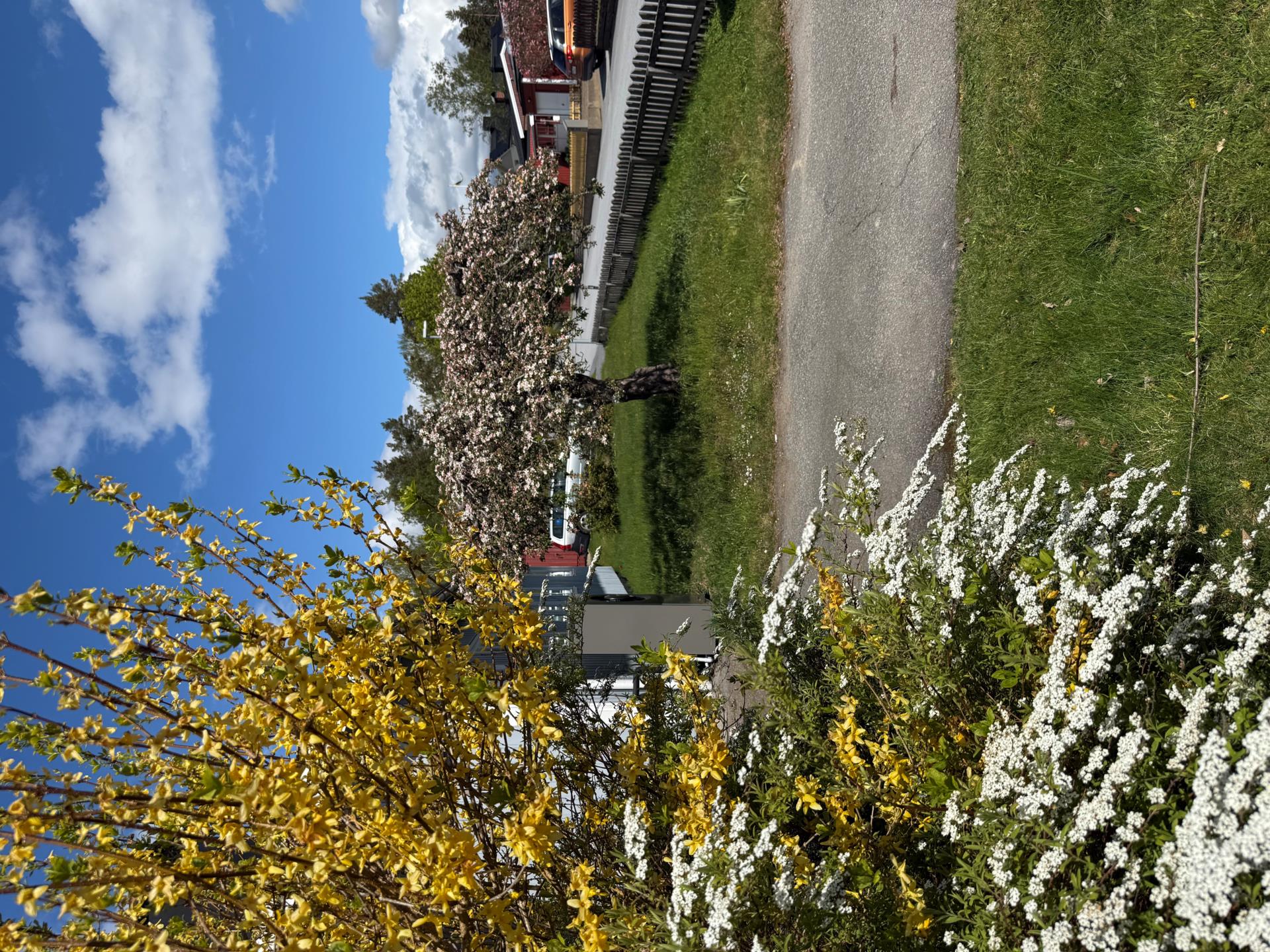 1-plansvilla med garage. Fin planlösning, 2 toaletter. Tak 2020 Panna 2026. Bekvämt nära centrum. .
