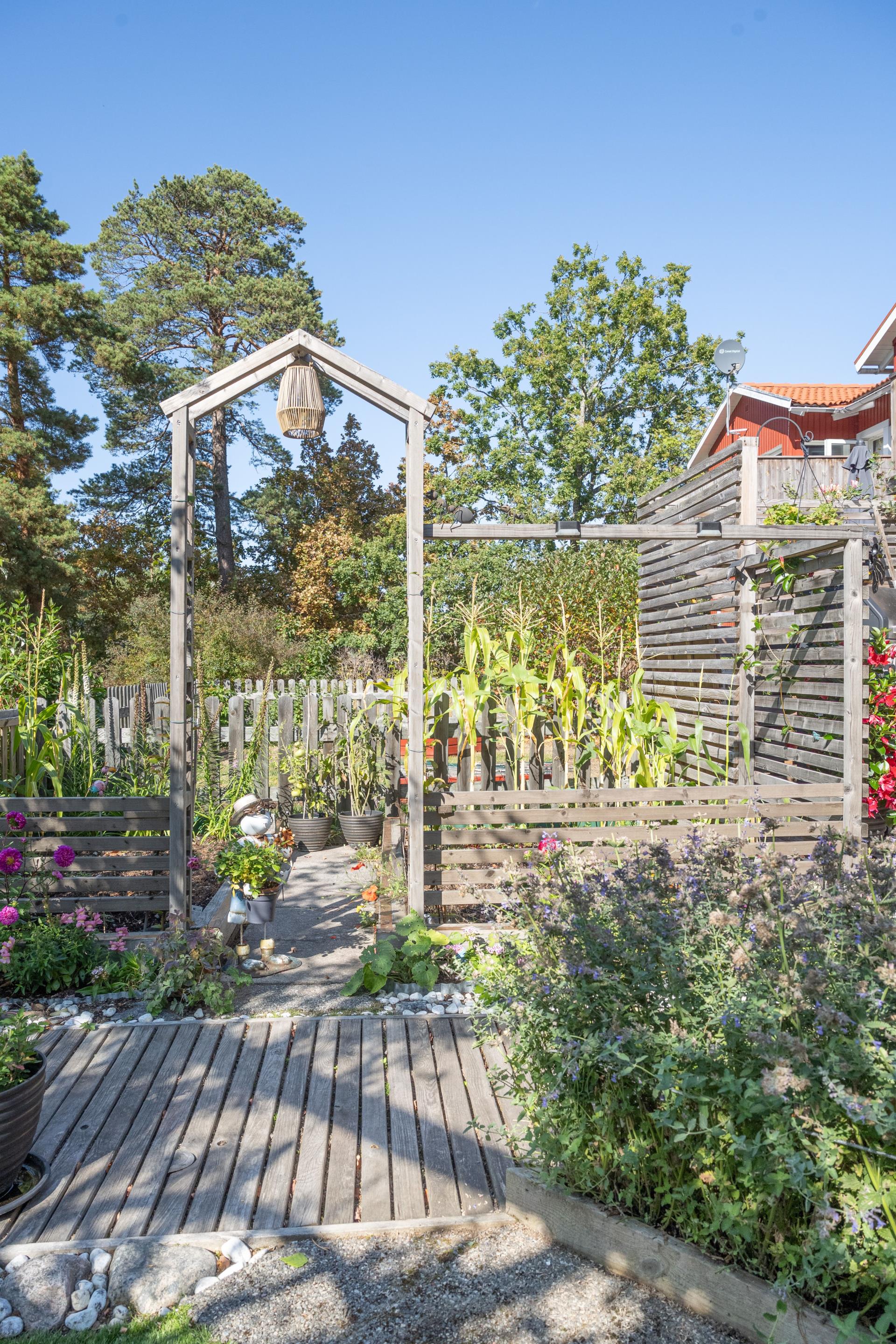 Välkommen till ett trivsamt radhus med en underbar trädgård, så fin oas på baksidan!